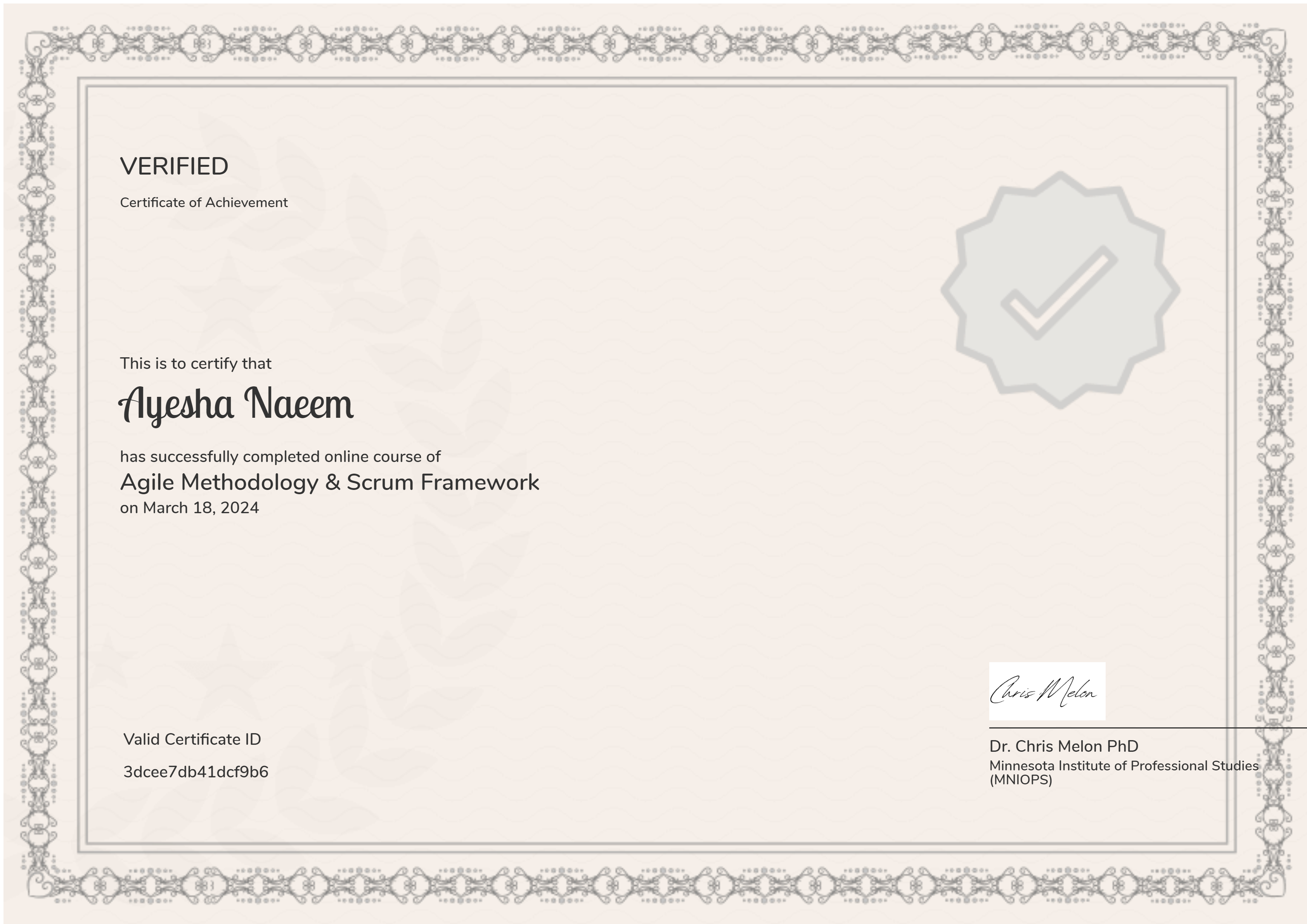 Certified Agile Practitioner
